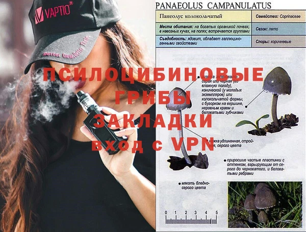 mix Абаза