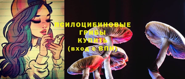 mix Абаза