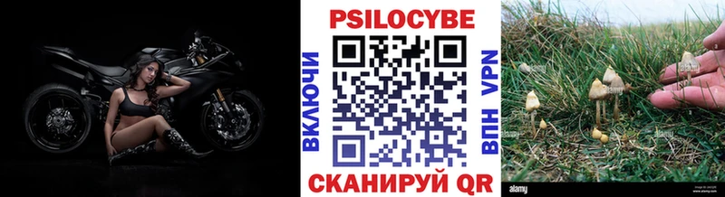omg рабочий сайт  Руза  Псилоцибиновые грибы GOLDEN TEACHER 